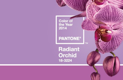 pantone radiant orchard