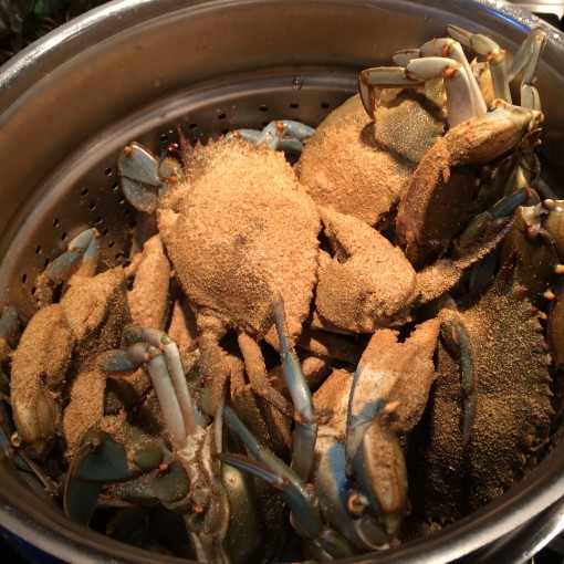 crab with seasoning splendidhabitat.com