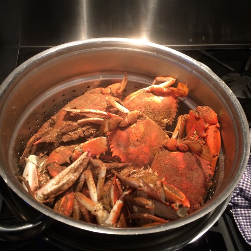 steamed crabs splendidhabitat.com