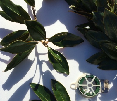 Make a natural swag - magnolia leaves