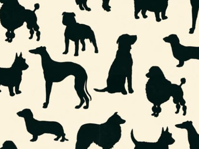 Dog silhouette wallpaper - Osborne & Little
