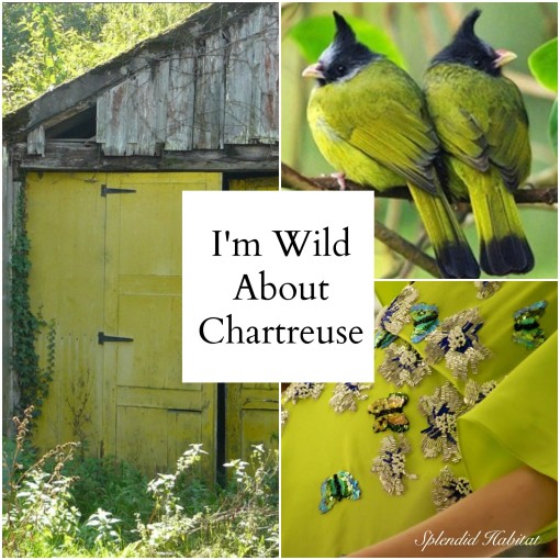 Wild about Chartreuse color 