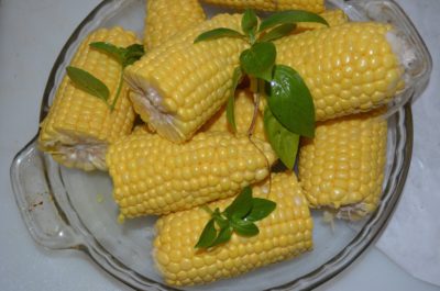 Corn on the Cob - Elle Gibson